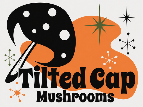 Tilted Cap Mushrooms