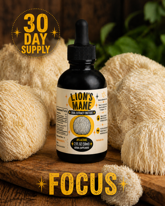 Lion's Mane Dual Extract Tincture